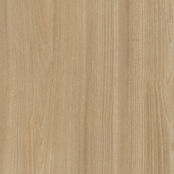 Holz-Korpus H1213 ST33 Tossini Ulme natur
