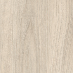 Holzdekor H3760 ST29 Cape Elm weiß