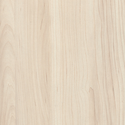Holz Dekor H3860 ST9 Hard Maple champagne